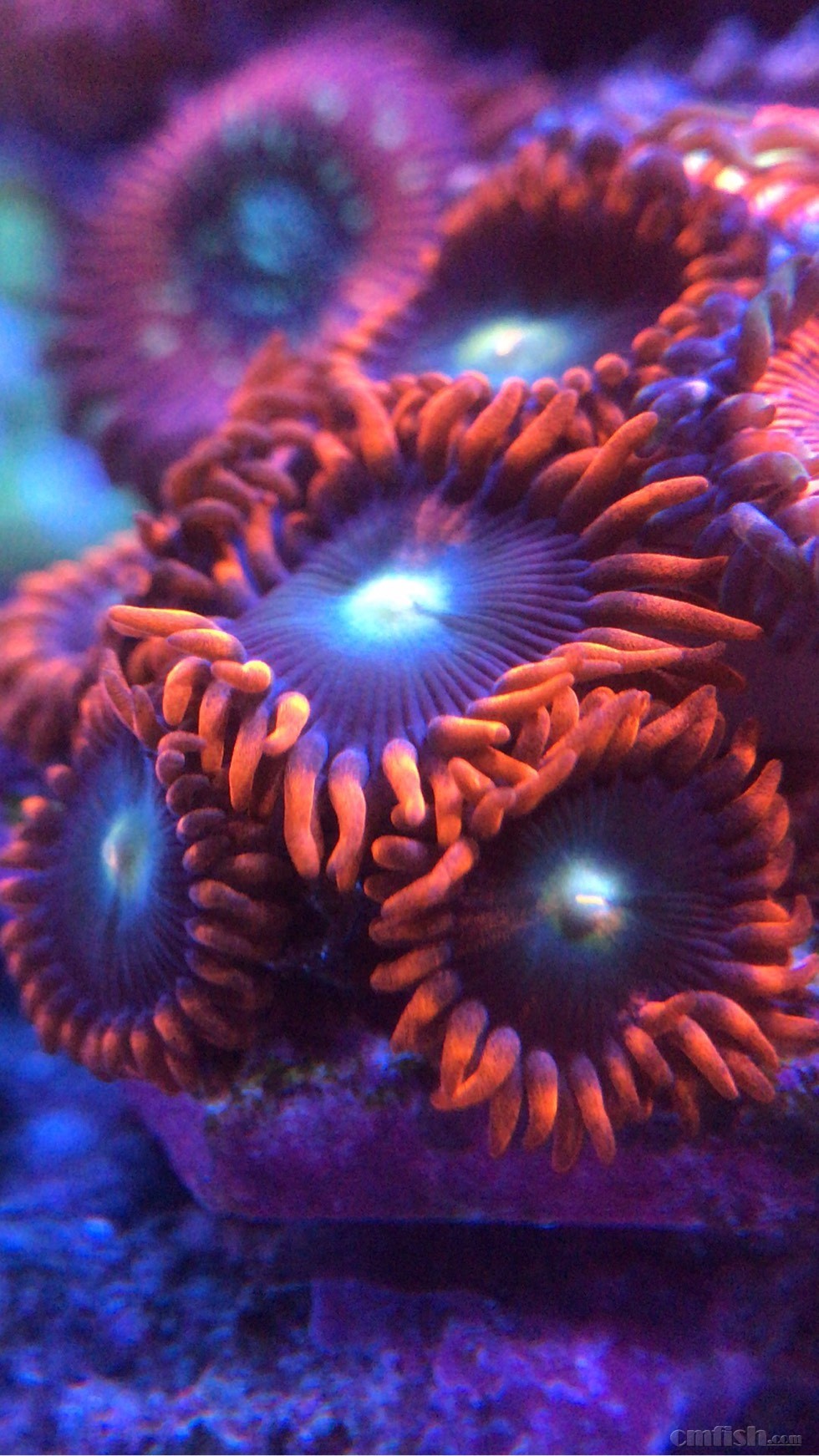 201057gbysxsoqq3bo3zvc.jpg
