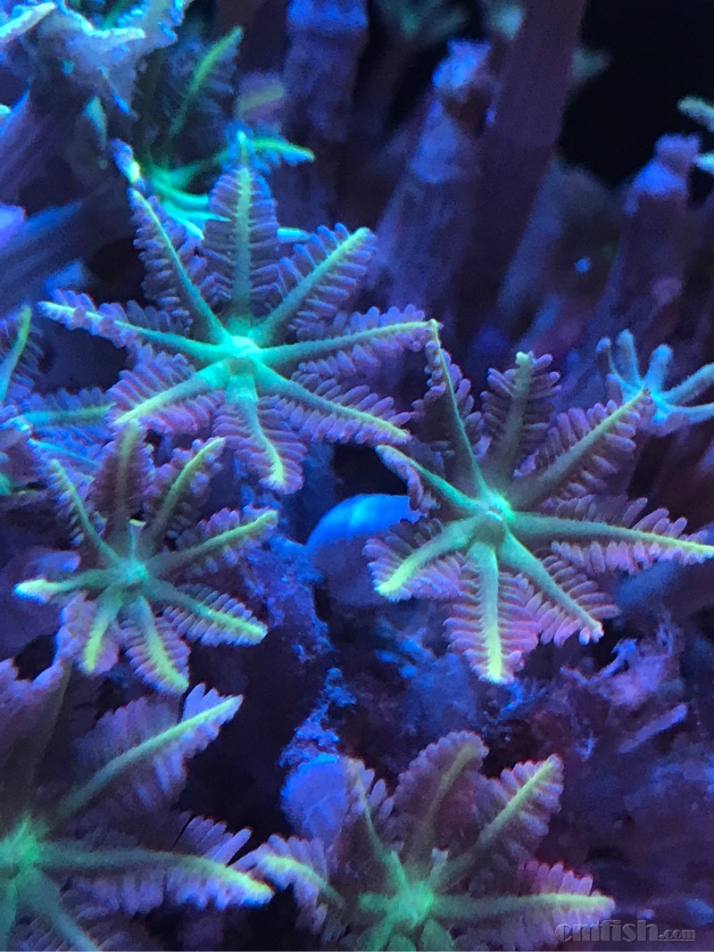201422qzy8ie771ozqio87.jpg