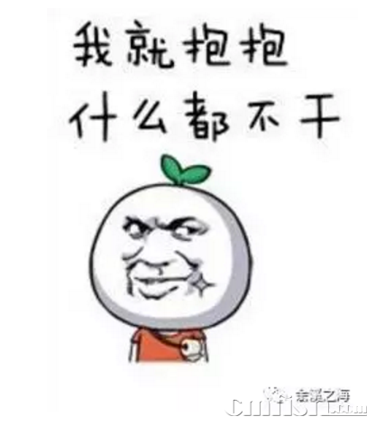 05.png