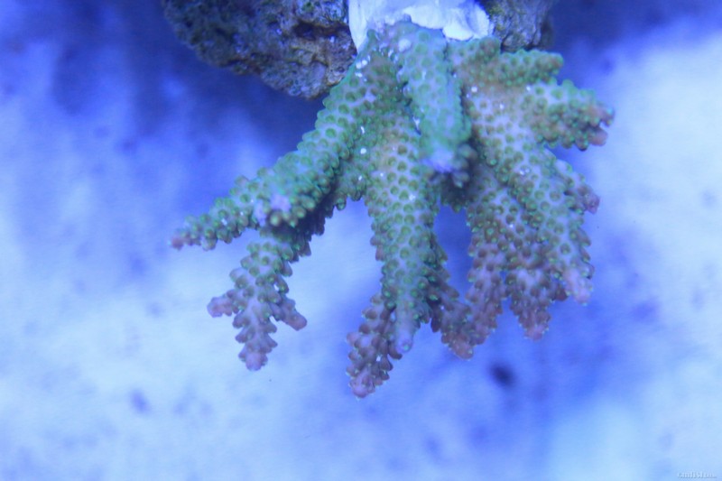 5W0A8706.JPG