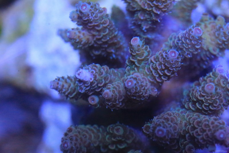 5W0A8717.JPG