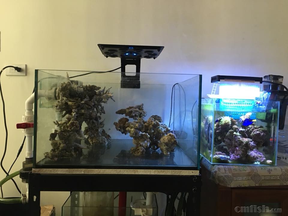 22814372_1541955149183940_3373884354142612154_n (1).jpg