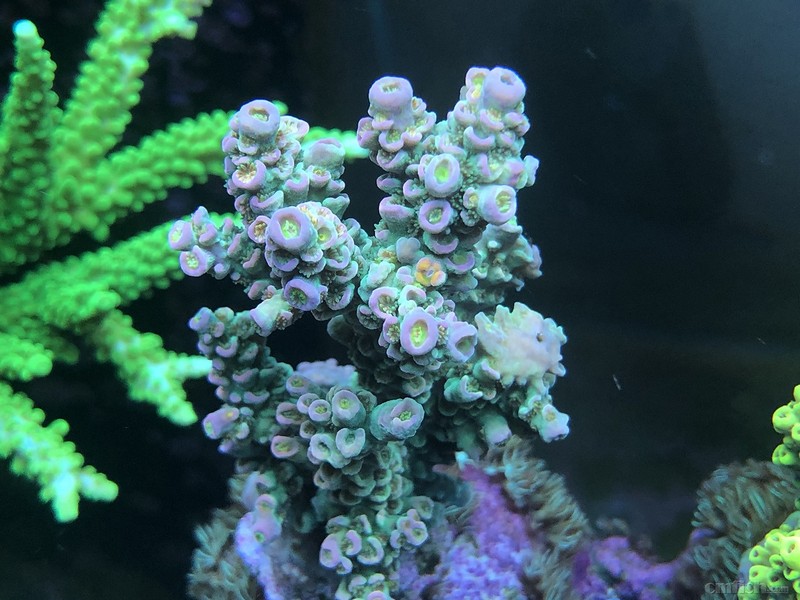 WeChat Image_201802062132596.jpg