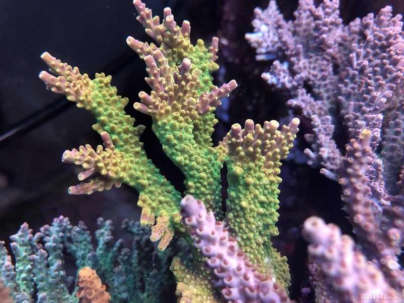 WeChat Image_201802062133023.jpg