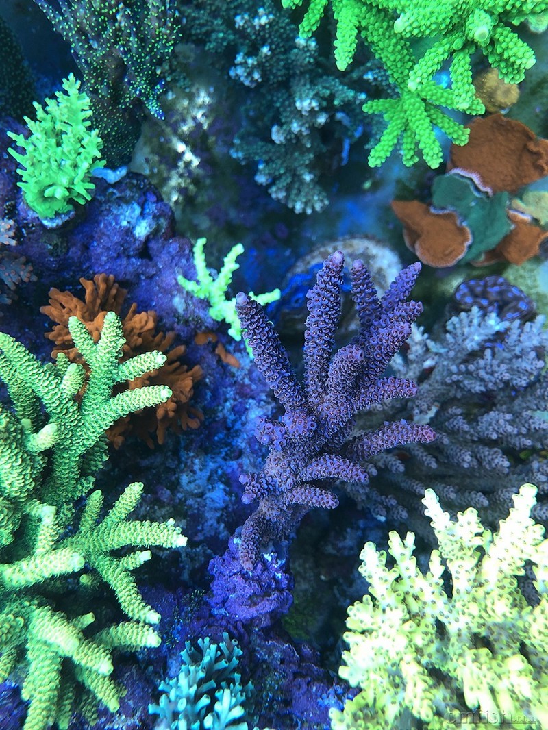 WeChat Image_201802062134461.jpg