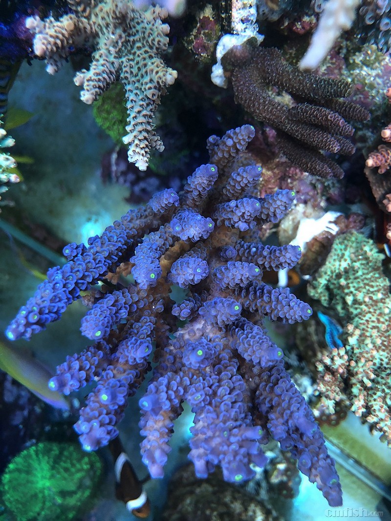 WeChat Image_201802062134463.jpg