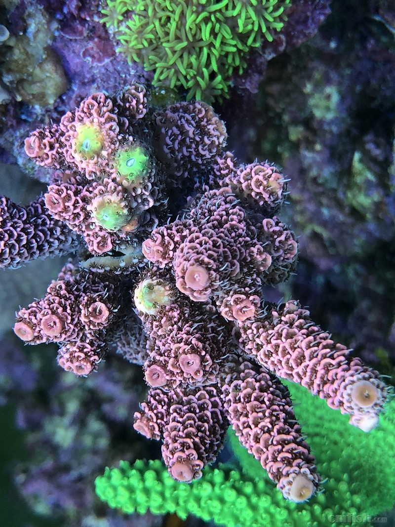 WeChat Image_201802062134489.jpg