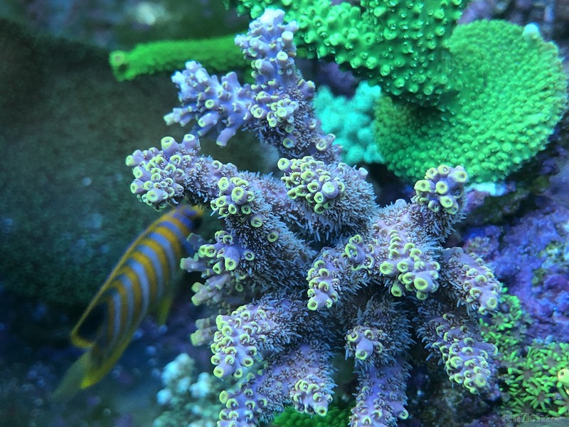 WeChat Image_201802062134491.jpg