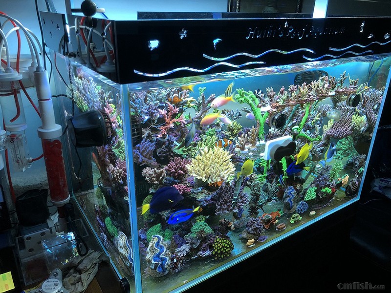 WeChat Image_201802062140551.jpg