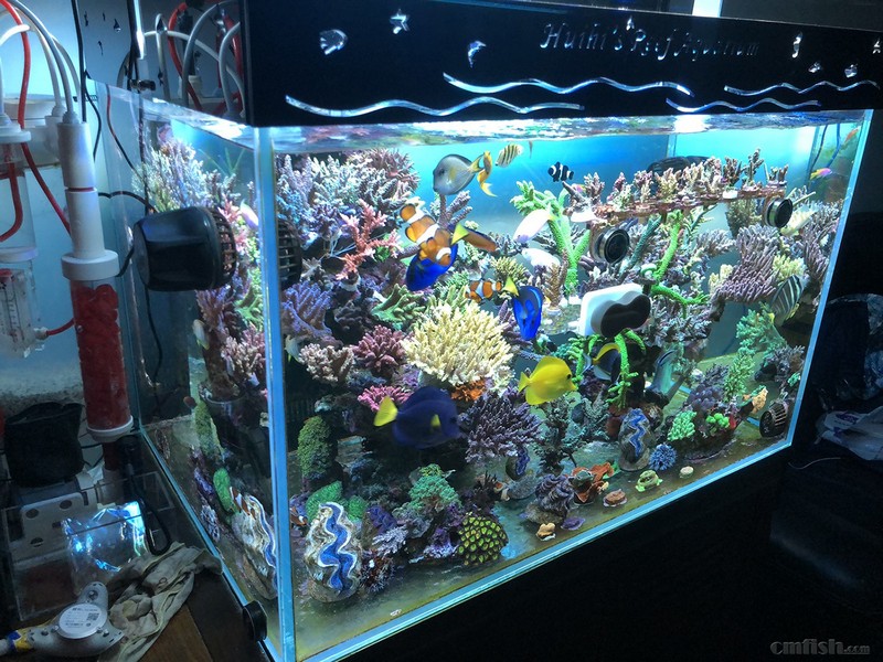 WeChat Image_201802062140552.jpg