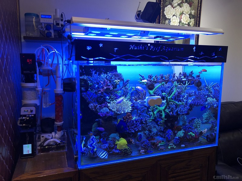 WeChat Image_201802062140562.jpg