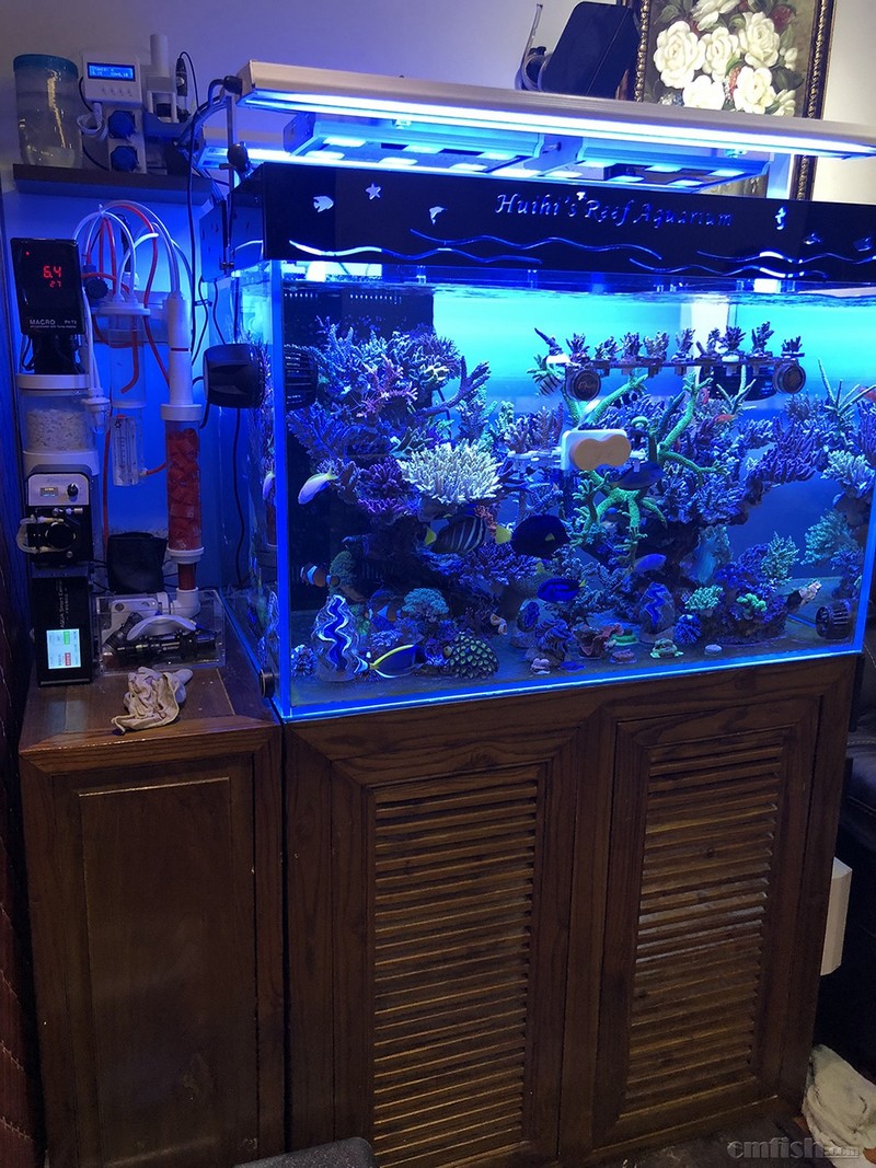 WeChat Image_201802062140563.jpg