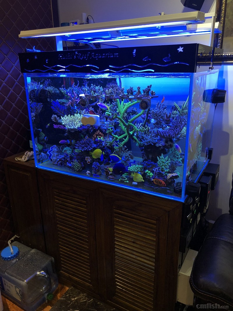 WeChat Image_201802062140564.jpg