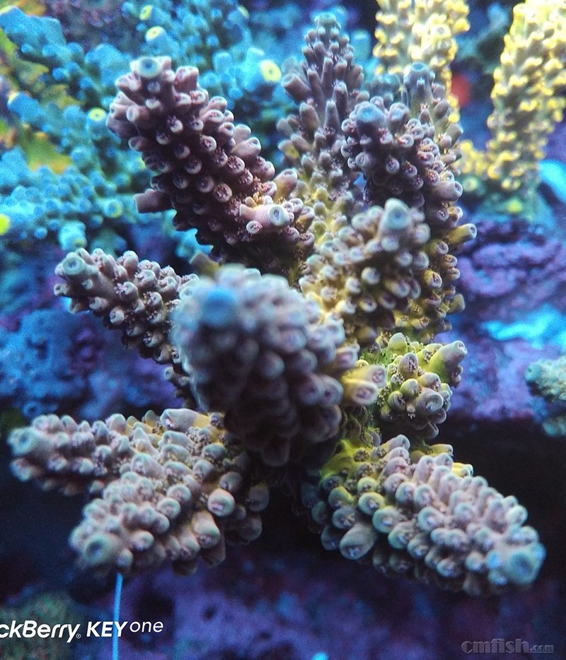 WeChat Image_201802062140582.jpg