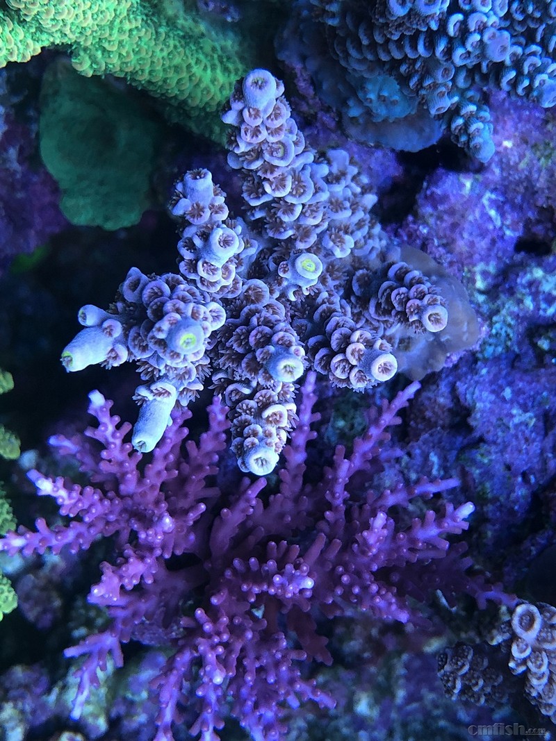 WeChat Image_2018020621325912.jpg