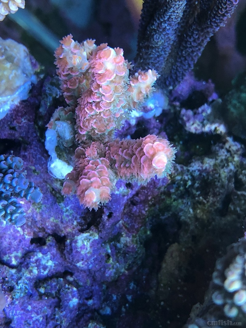 WeChat Image_2018020621325913.jpg