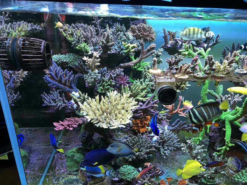 WeChat Image_2018020621325917.jpg