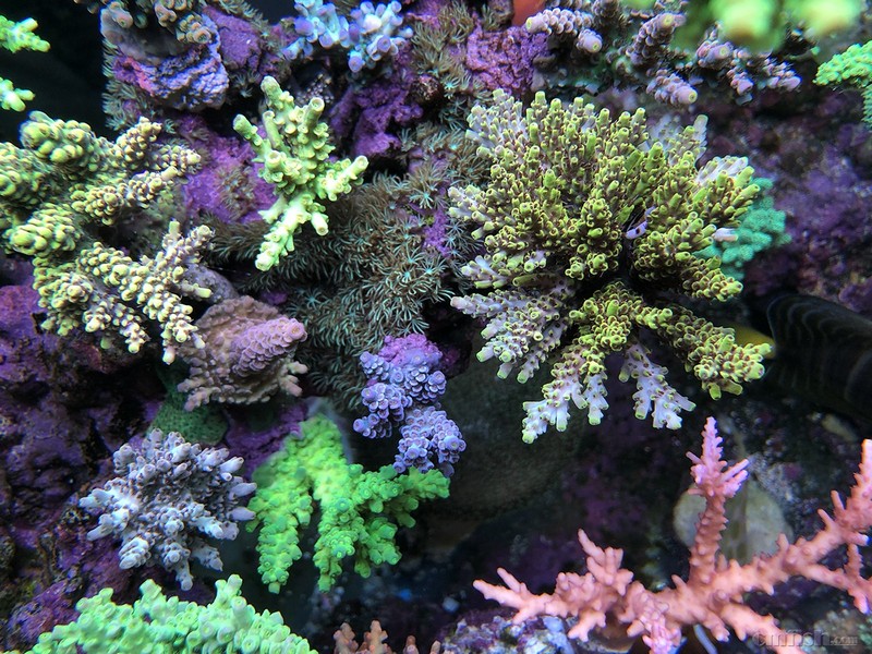 WeChat Image_2018020621330112 ����.jpg