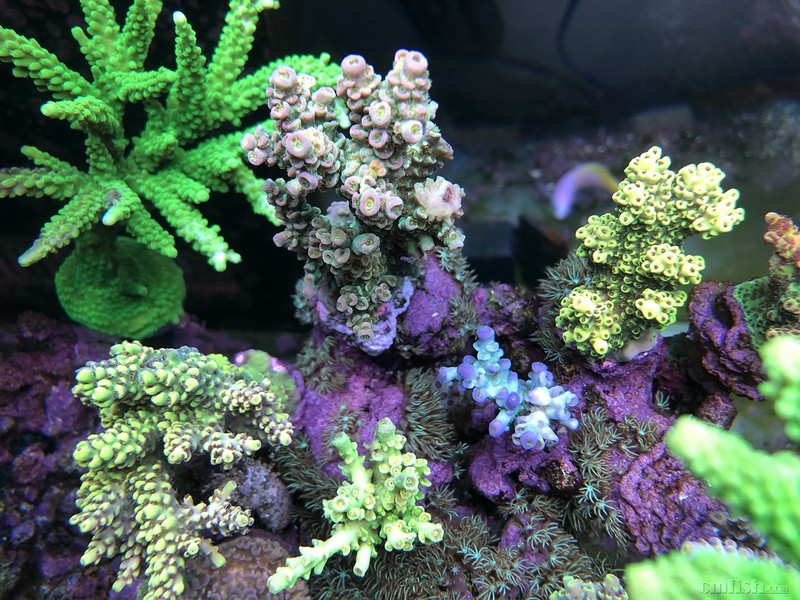 WeChat Image_2018020621330113.jpg