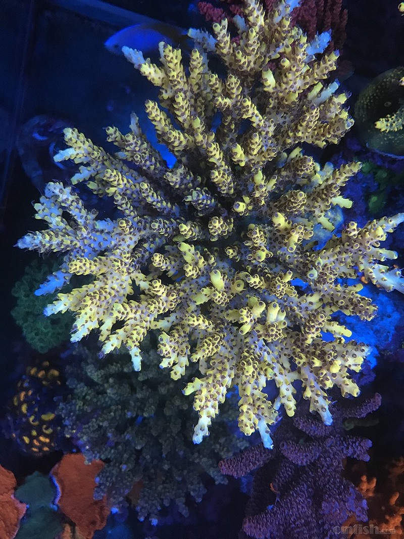 WeChat Image_2018020621330114.jpg