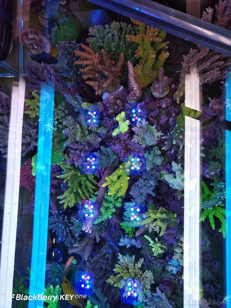 WeChat Image_2018020621330115.jpg