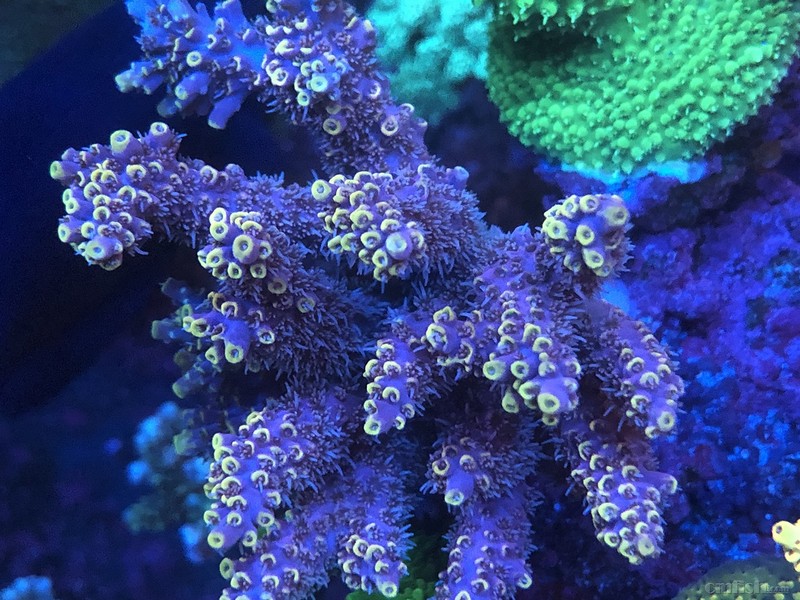 WeChat Image_2018020621344710.jpg