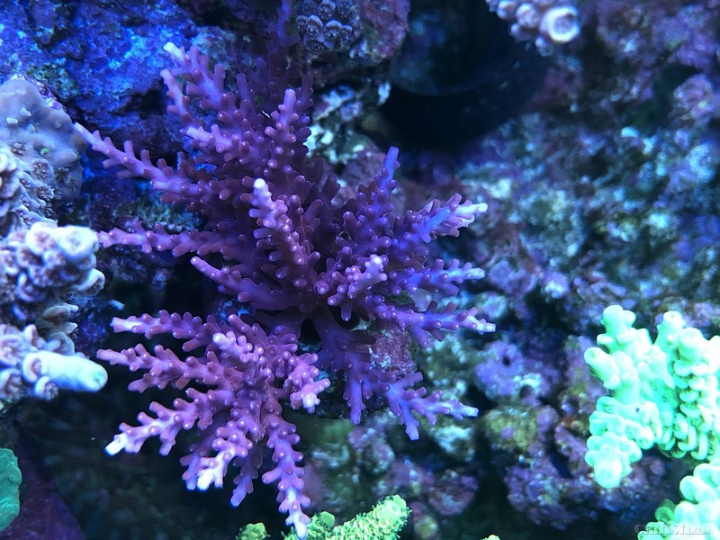 WeChat Image_2018020621344820.jpg