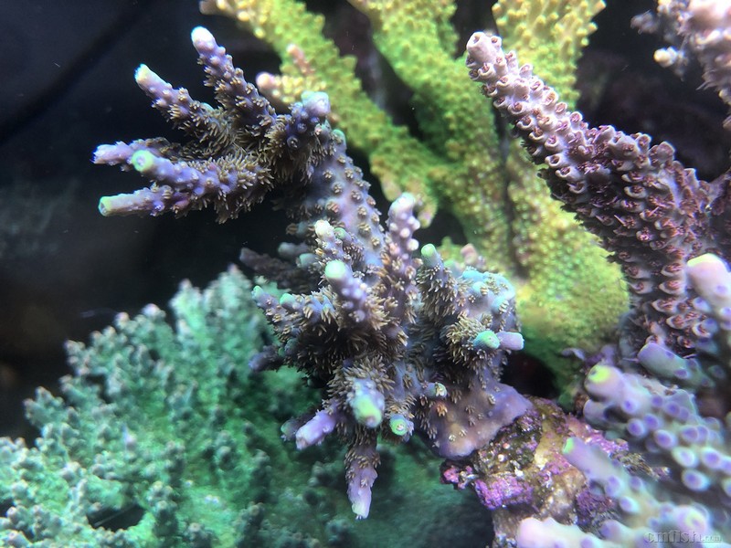 WeChat Image_2018020621344913.jpg