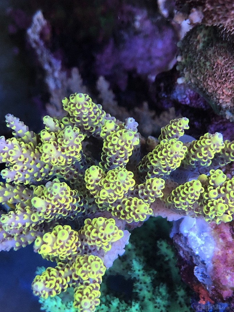 WeChat Image_2018020621405612.jpg