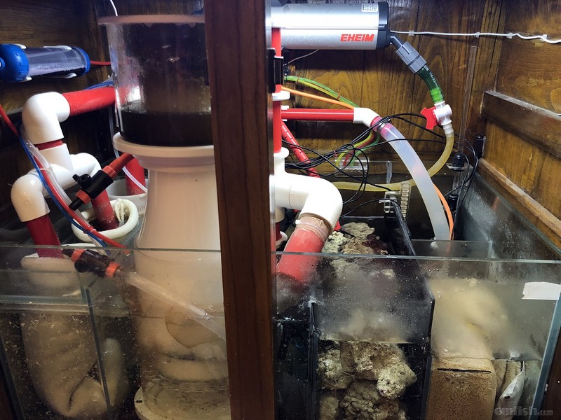 WeChat Image_201802062140565.jpg