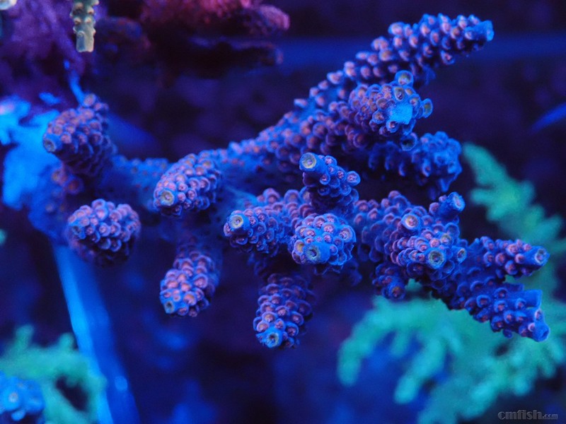 WeChat Image_20180206213256 ����.jpg