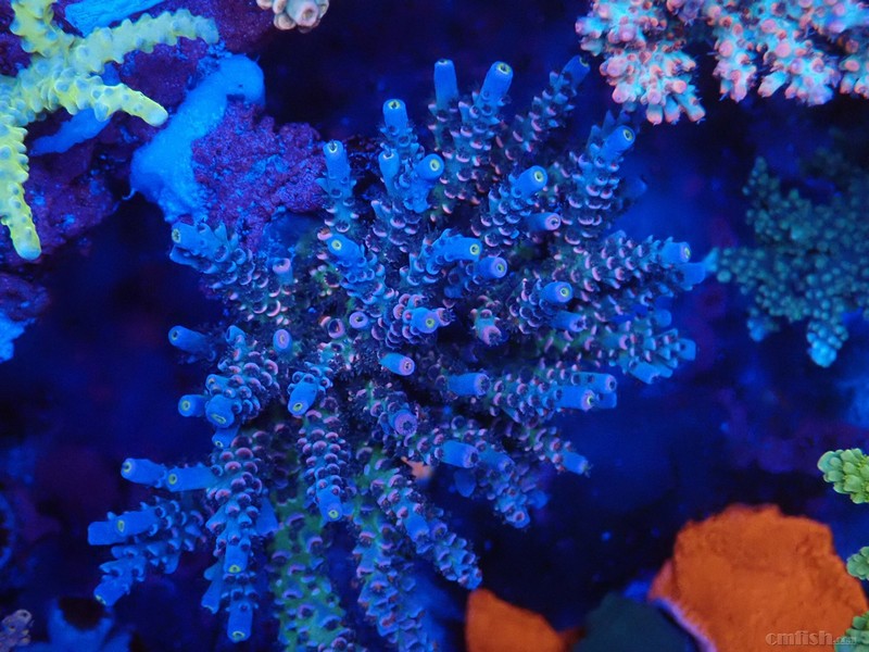 WeChat Image_201802062132561 ����.jpg