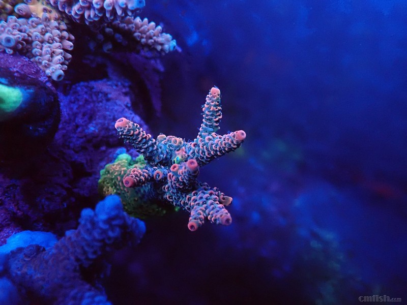 WeChat Image_201802062132574 ����.jpg