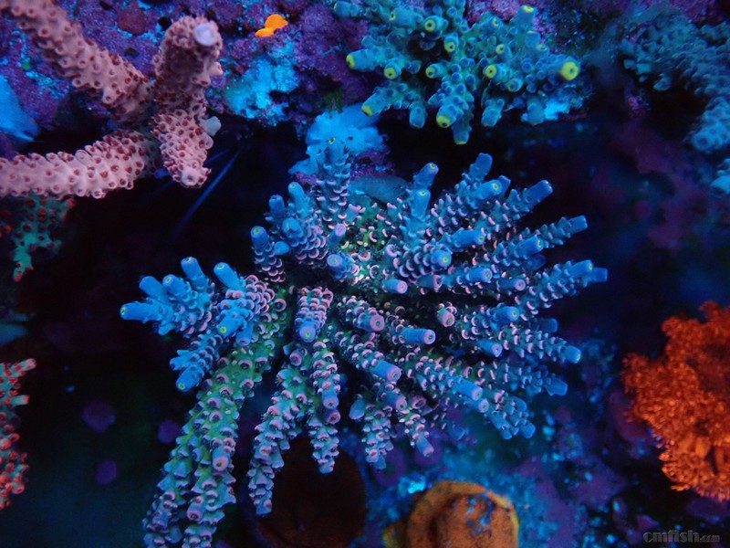 WeChat Image_201802062133026 ����.jpg