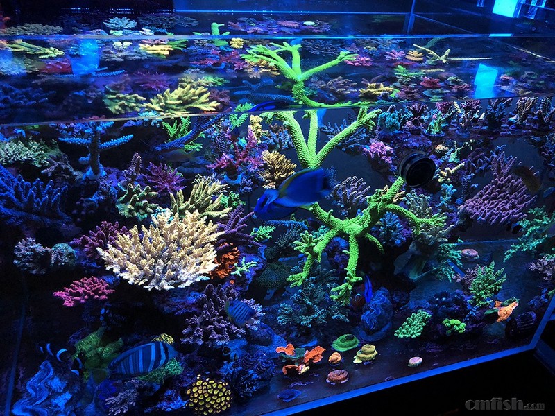 WeChat Image_201802062134442 ����.jpg