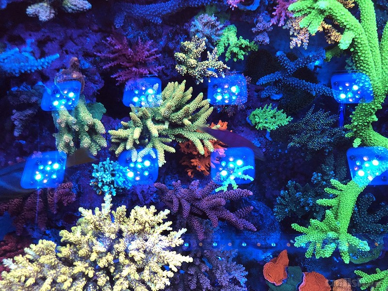 WeChat Image_201802062134445 ����.jpg