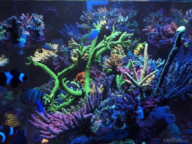 WeChat Image_201802062134467 ����.jpg