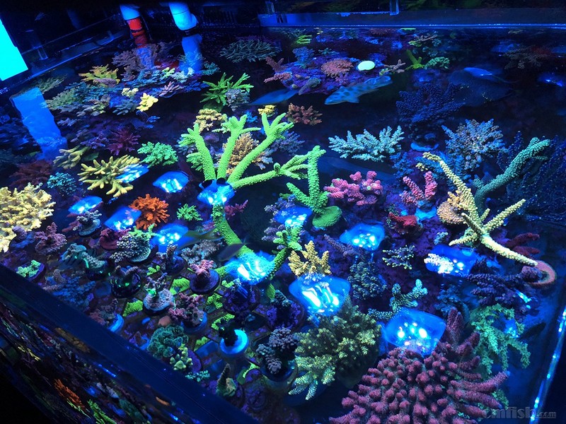 WeChat Image_201802062134468 ����.jpg