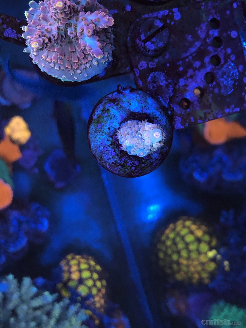 WeChat Image_201802062134474 - ���� ����.jpg