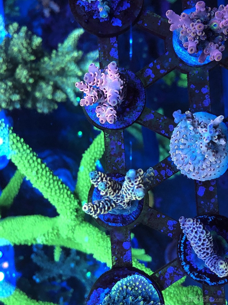 WeChat Image_201802062134476 - ���� ����.jpg