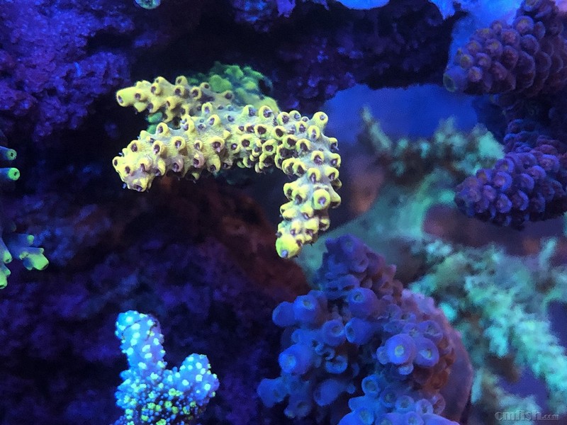 WeChat Image_201802062134479 ����.jpg