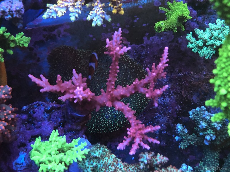 WeChat Image_201802062134482 ����.jpg