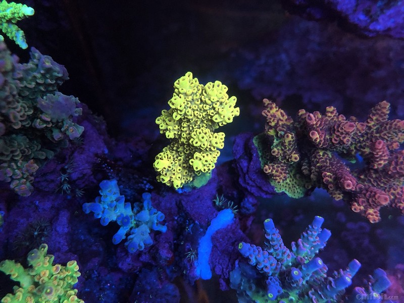 WeChat Image_201802062134485 ����.jpg