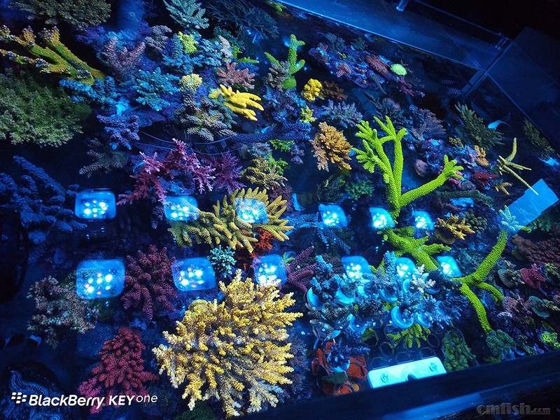 WeChat Image_201802062140571 ����.jpg