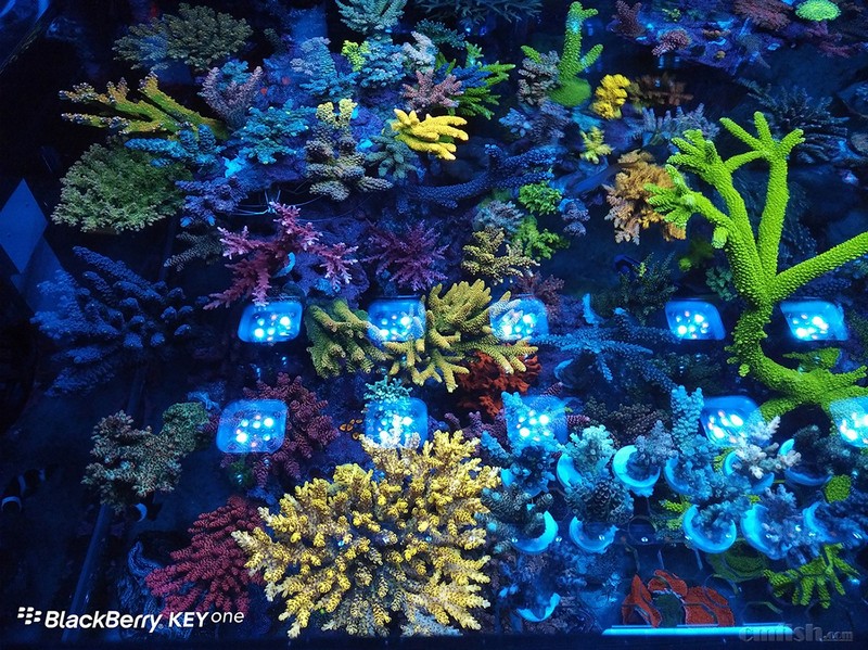 WeChat Image_201802062140575 ����.jpg