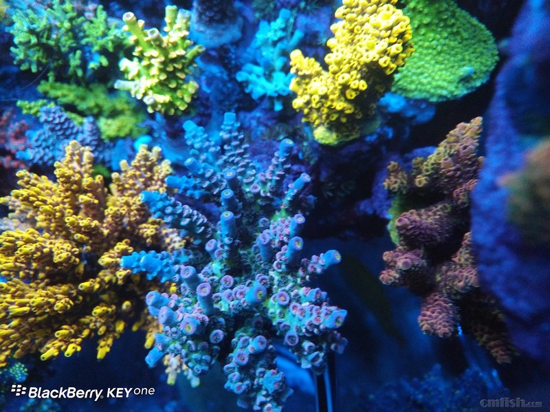 WeChat Image_201802062140587 ����.jpg