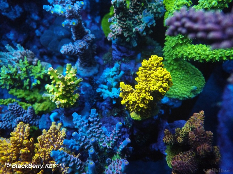 WeChat Image_201802062140588 ����.jpg