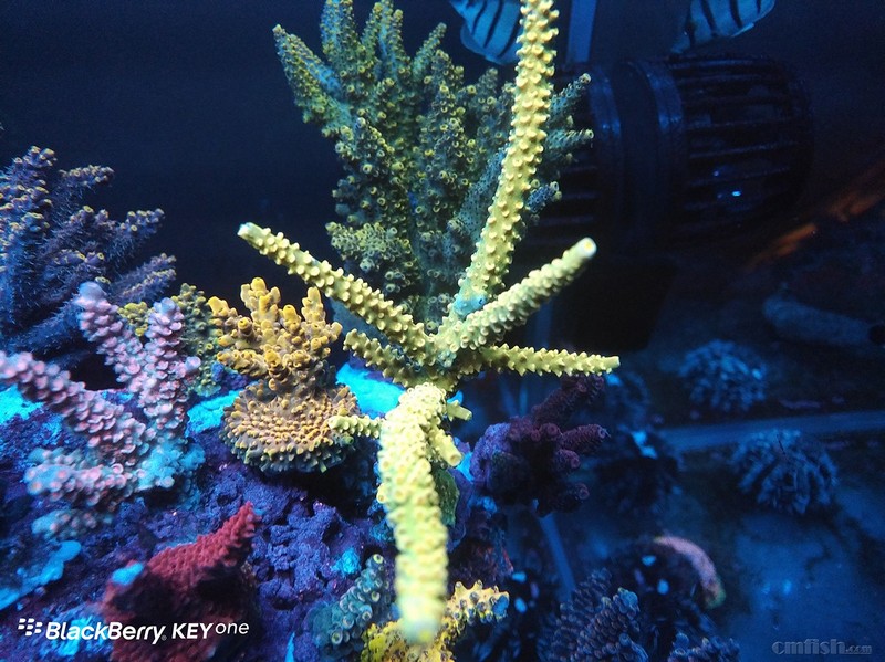 WeChat Image_201802062141011 ����.jpg