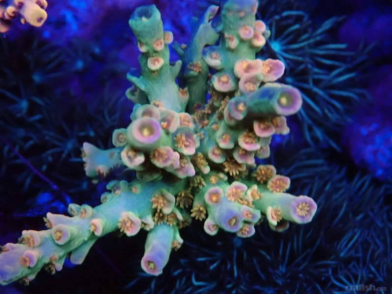 WeChat Image_2018020621325711 ����.jpg