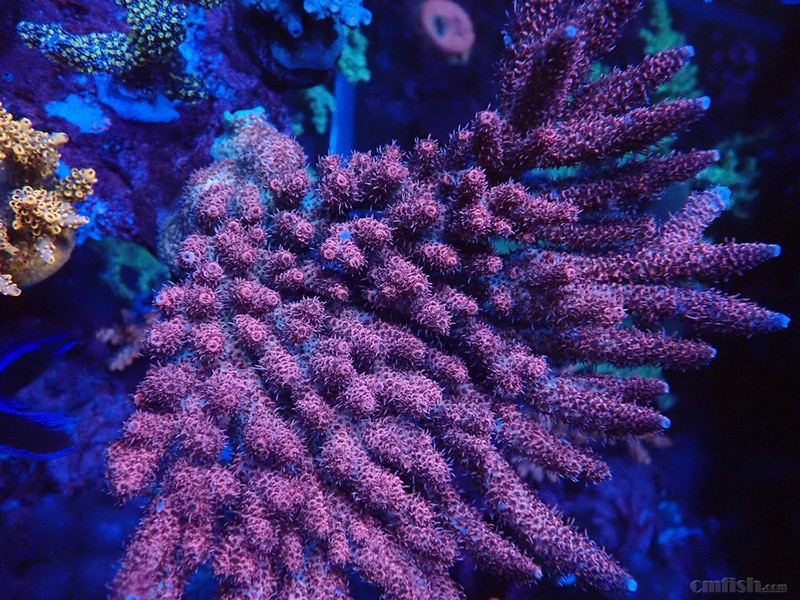 WeChat Image_2018020621325712 ����.jpg